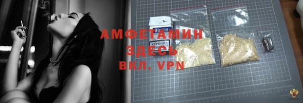 ПСИЛОЦИБИНОВЫЕ ГРИБЫ Вязники