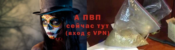 ПСИЛОЦИБИНОВЫЕ ГРИБЫ Вязники