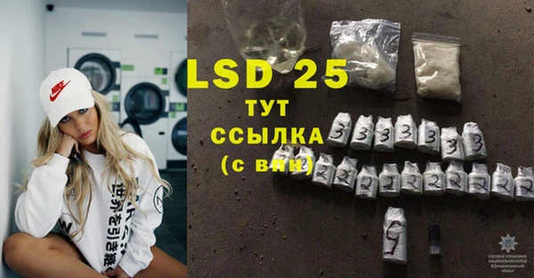 ПСИЛОЦИБИНОВЫЕ ГРИБЫ Вязники