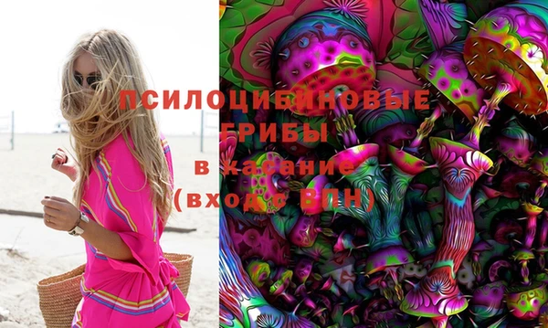 а пвп мука Вяземский