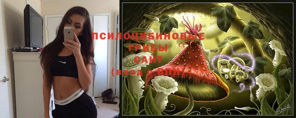 ПСИЛОЦИБИНОВЫЕ ГРИБЫ Вязники