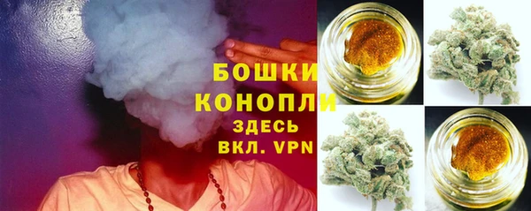 ПСИЛОЦИБИНОВЫЕ ГРИБЫ Вязники