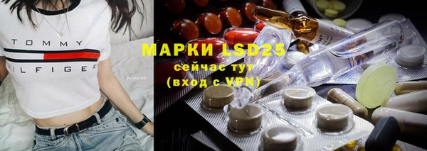 ПСИЛОЦИБИНОВЫЕ ГРИБЫ Вязьма
