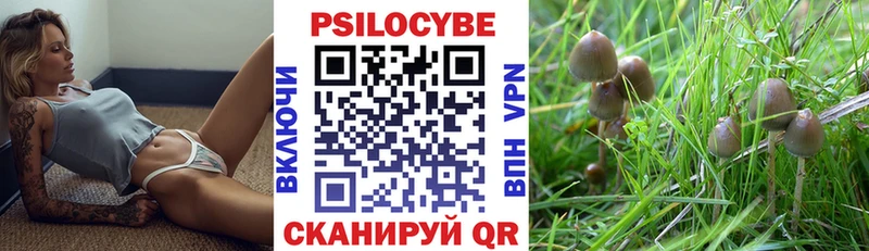 Галлюциногенные грибы MAGIC MUSHROOMS  Железногорск 