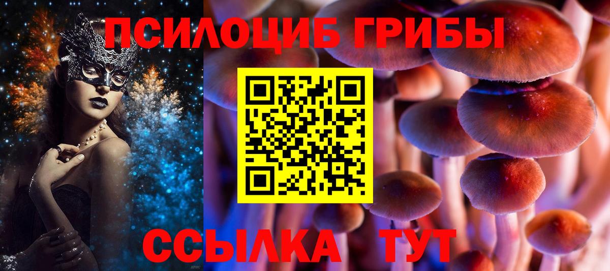 Псилоцибиновые грибы ЛСД  Вход с VPN  где купить   Галлюциногенные грибы Psilocybine cubensis  Железногорск 